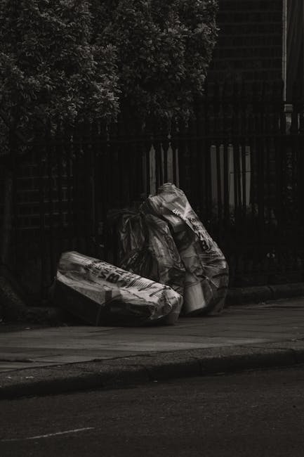 https://houseclearancelewisham.co.uk/blog/emergency-rubbish-removal-lewisham-delays-and-solutions/