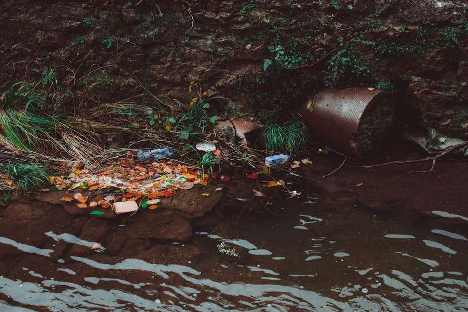 A small section of a riverbank featuring a rusty, cylindrical metal pipe partially submerged and lying on its side against a rocky outcrop. The pipe's surface is weathered and rusty, with visible corrosion. Surrounding the area are patches of green grass and plants growing along the edge, with some vegetation creeping over the rocks. The river water in the foreground has gentle ripples, reflecting the dim outdoor lighting. Scattered across the exposed muddy bank are various pieces of household waste, including plastic bottles, wrappers, and a disposable cup, indicating local pollution. The waste piles appear mixed, with some items partially buried in the damp soil, and others resting on the surface. The backdrop shows a steep, textured rocky wall with small patches of moss or algae, emphasizing a natural environment disrupted by litter. The scene suggests an instance of informal waste disposal near water, illustrating challenges in rubbish management and environmental protection, with a subtle connection to private waste handling services like those offered by House Clearance Lewisham.